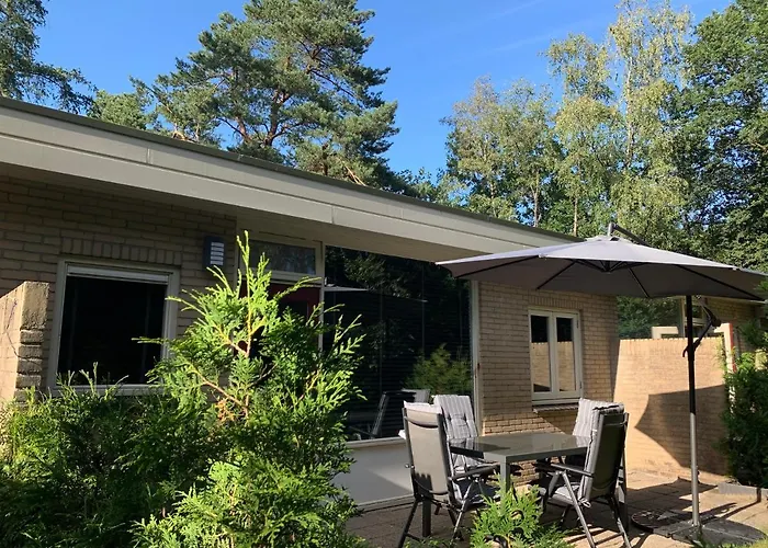 Bonte Specht: Tot Rust Komen In De Natuur!