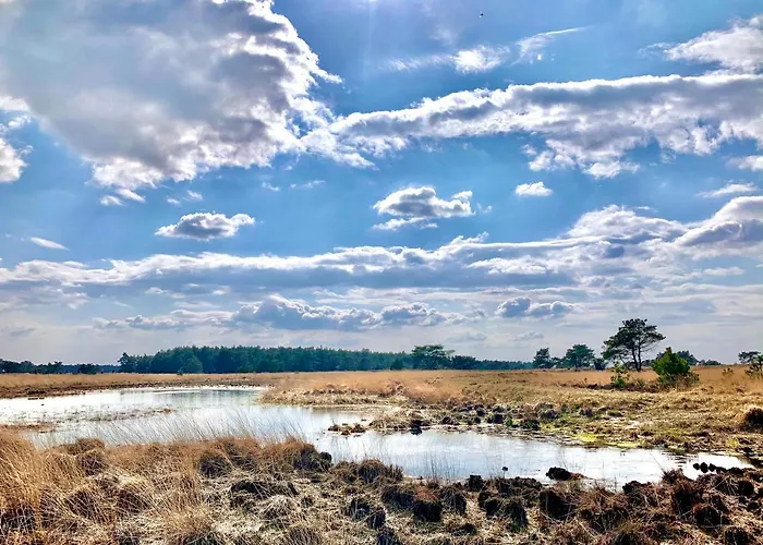 Bonte Specht: Tot Rust Komen In De Natuur!