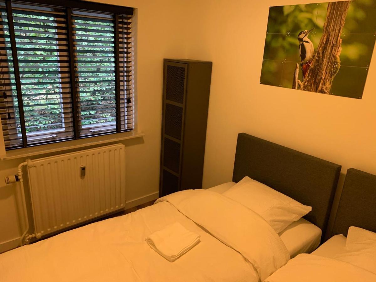 Bonte Specht: Tot Rust Komen In De Natuur! Holiday home