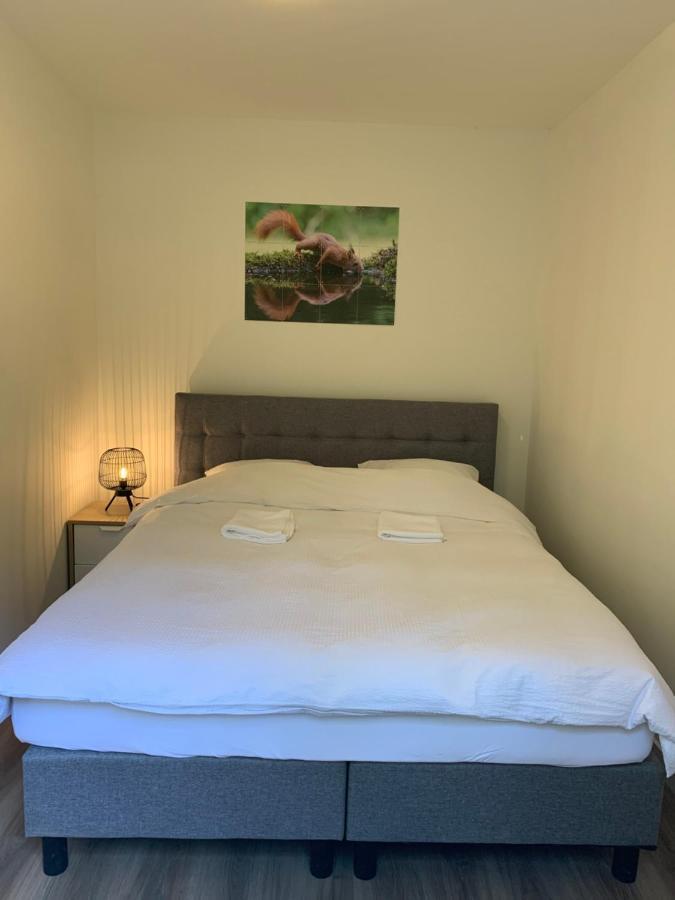 Bonte Specht: Tot Rust Komen In De Natuur! Holiday home