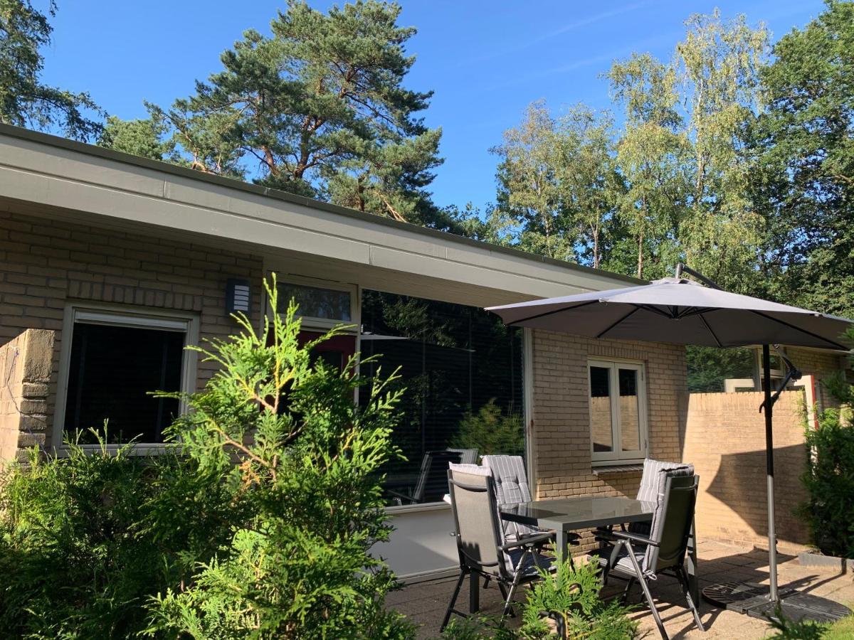 Bonte Specht: Tot Rust Komen In De Natuur! Holiday home