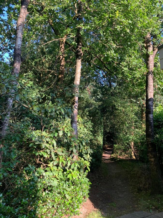 Bonte Specht: Tot Rust Komen In De Natuur! Holiday home *