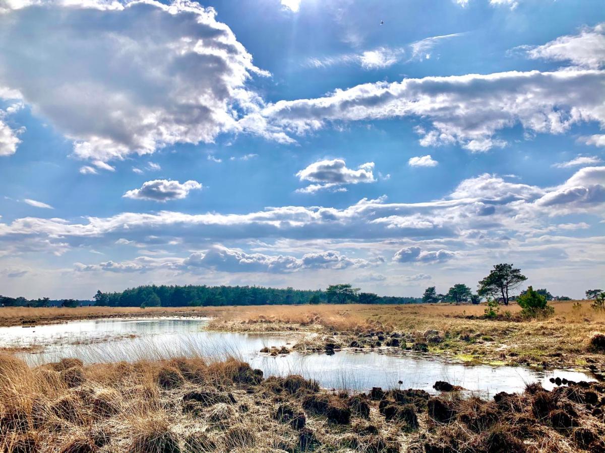 Holiday home Bonte Specht: Tot Rust Komen In De Natuur! *