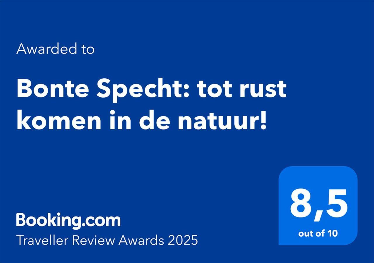 Bonte Specht: Tot Rust Komen In De Natuur! *